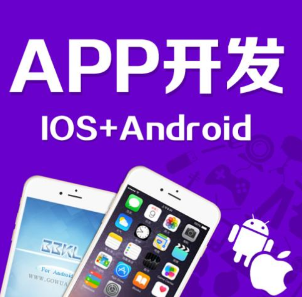 成都武侯區(qū)app開(kāi)發(fā)公司哪家好